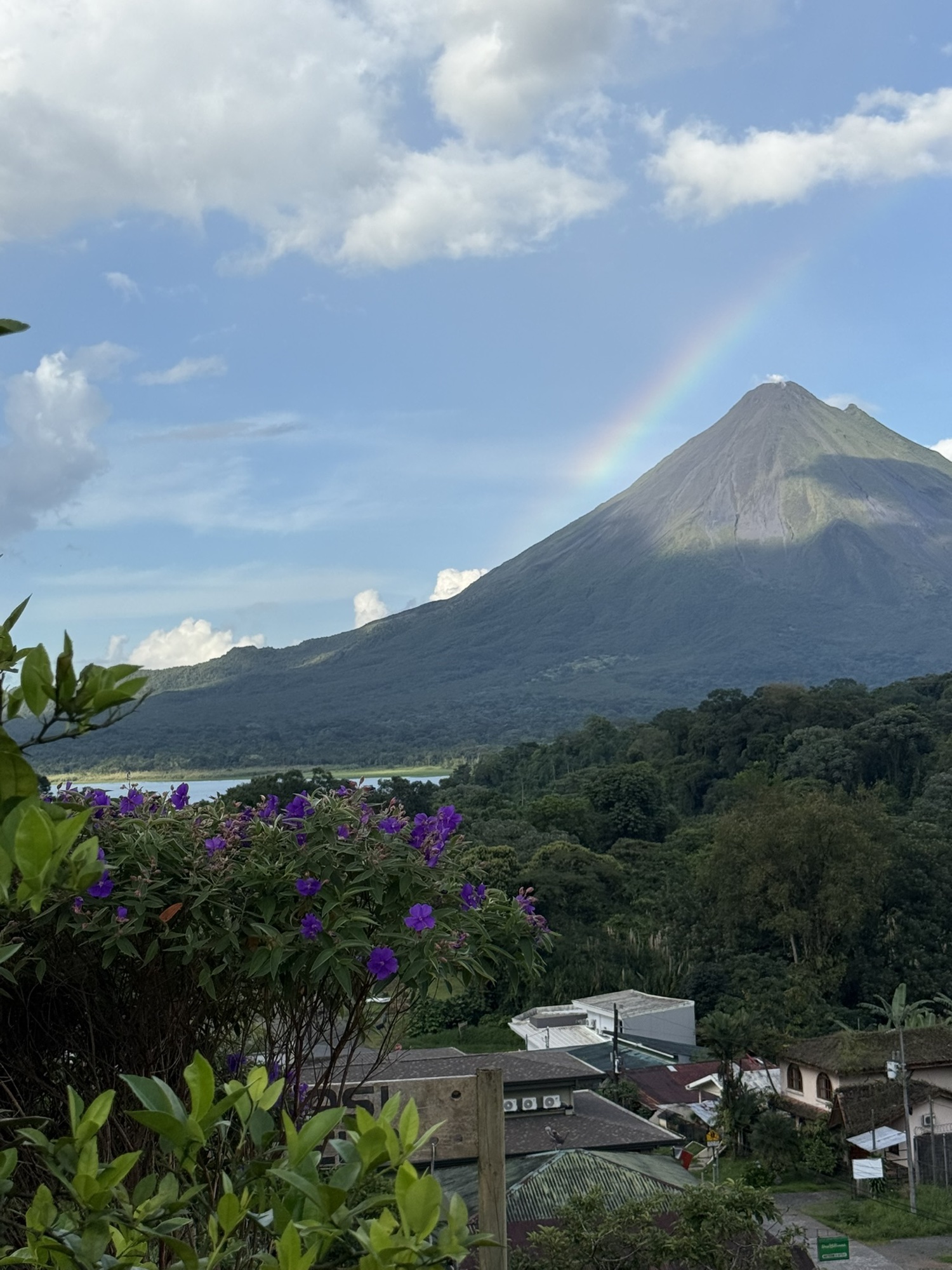 Volcano with a rainbow over the lake and town, purple flowers in the foreground